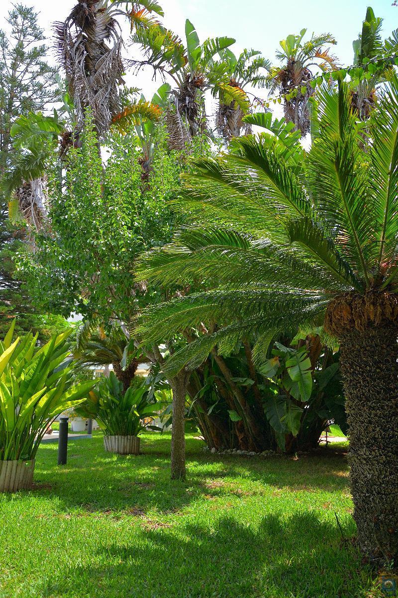 B&B Mondello Resort Dış mekan fotoğraf