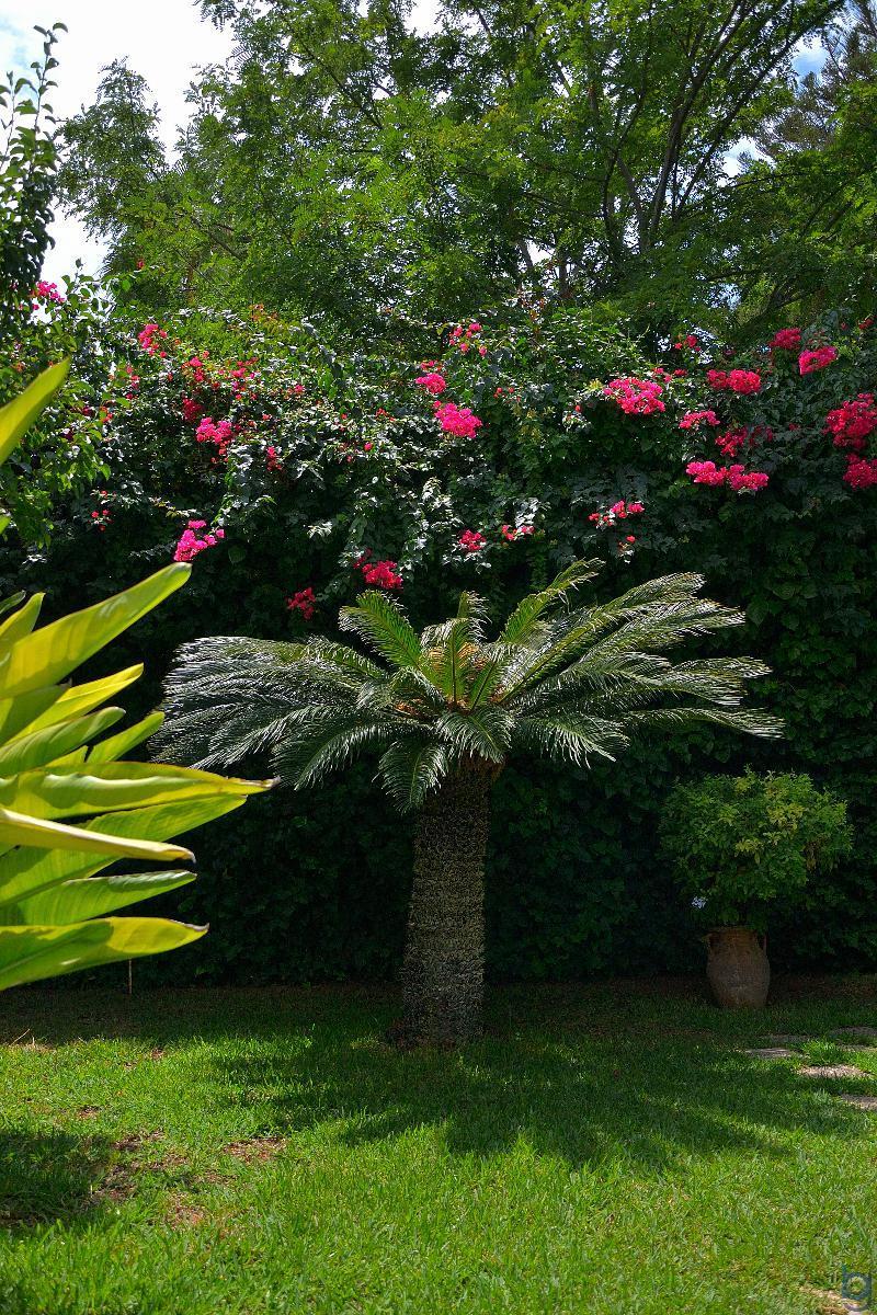 B&B Mondello Resort Dış mekan fotoğraf